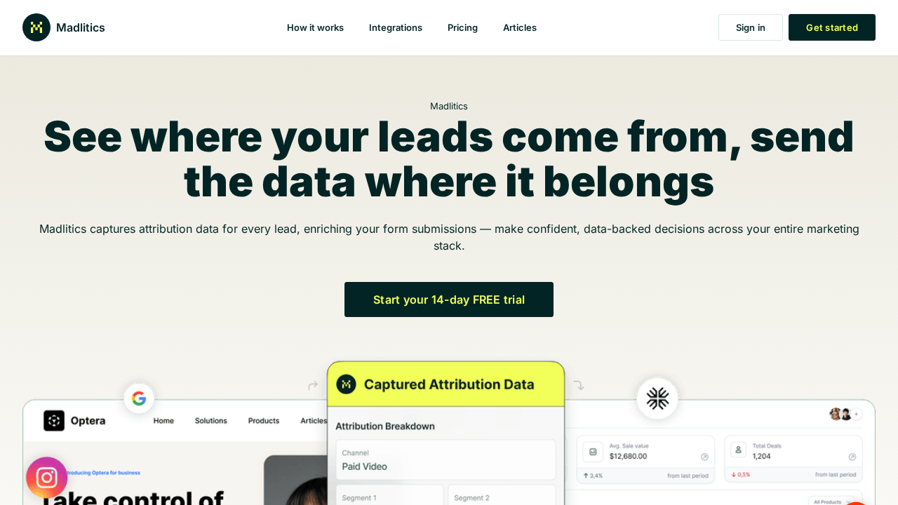 Madlitics screenshot