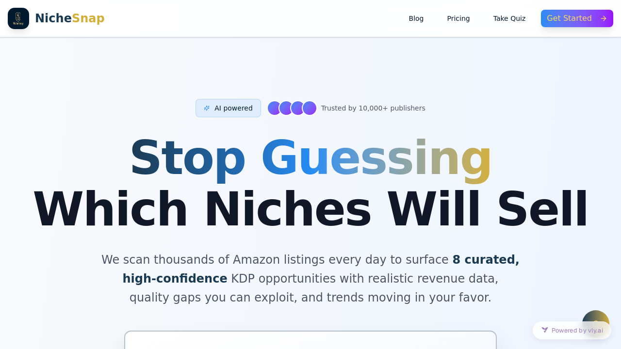 NicheSnap screenshot