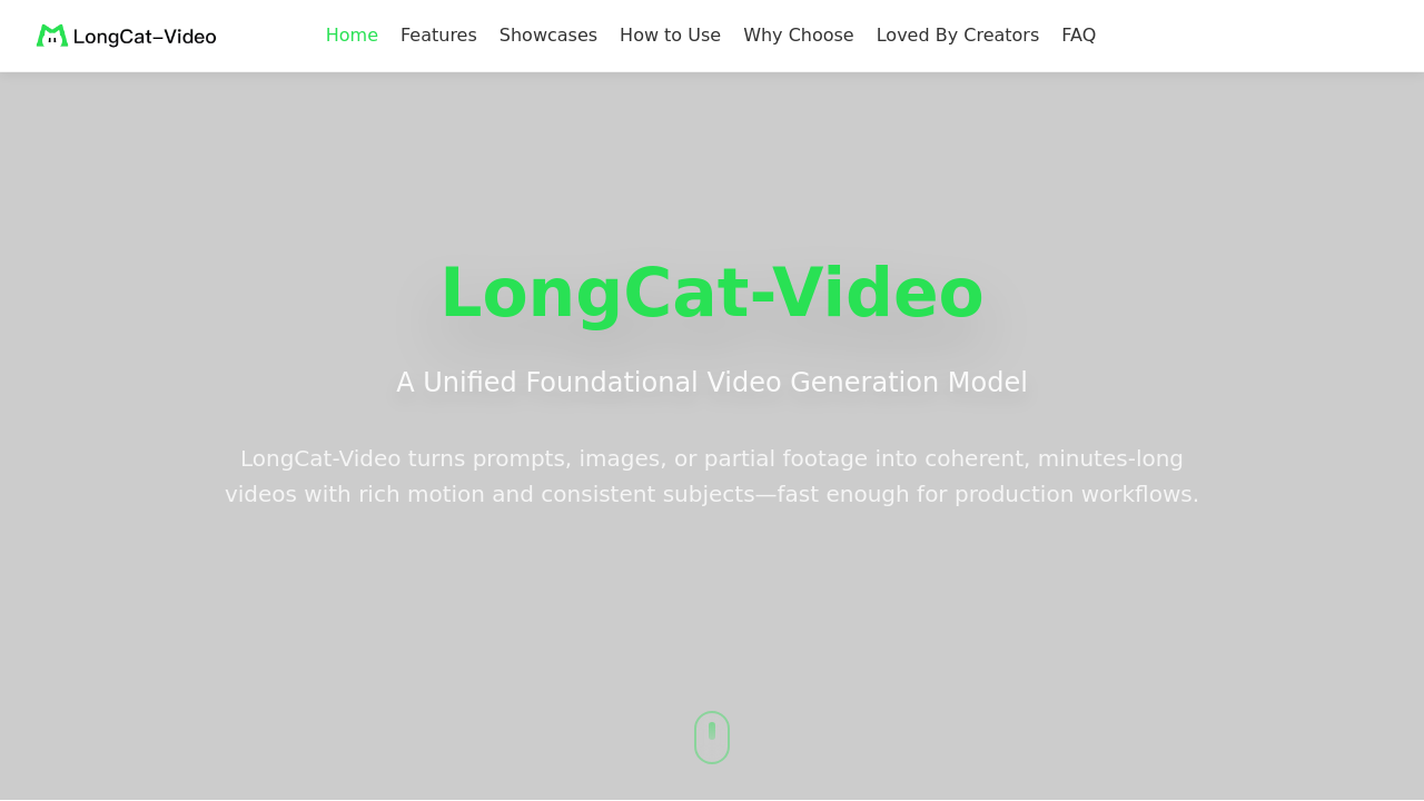 LongCat-Video screenshot