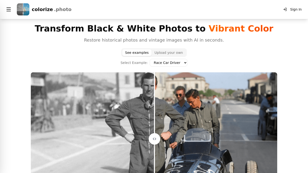 Colorize Photo screenshot