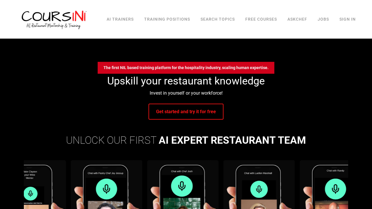 Coursini Inc screenshot