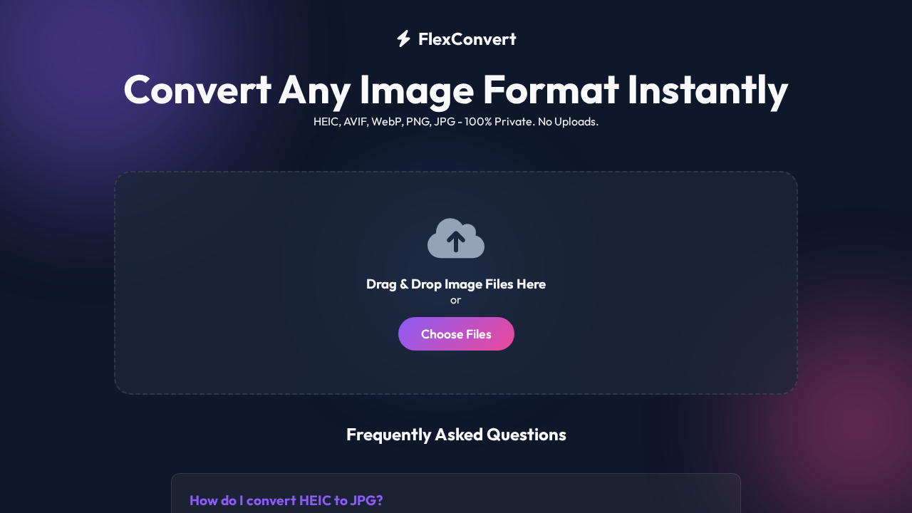 FlexConvert screenshot