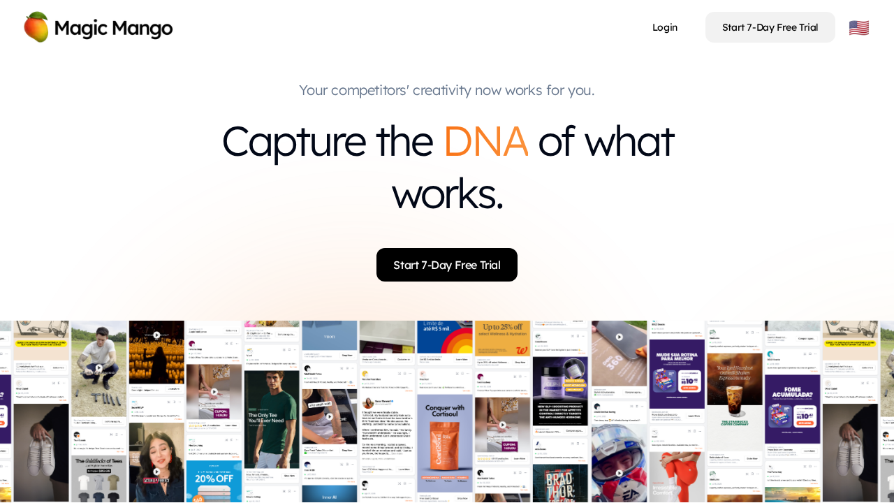 Magic Mango screenshot