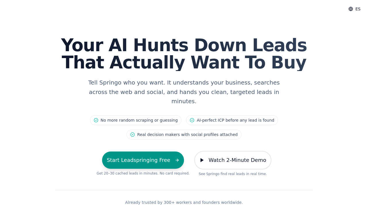 Leadspring screenshot