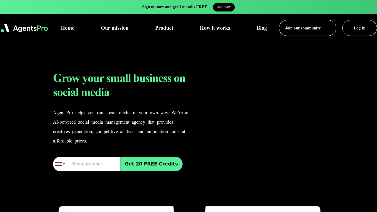 AgentsPro.ai screenshot
