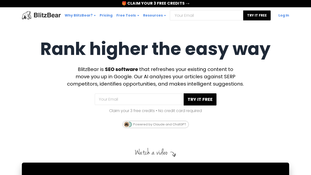 BlitzBear screenshot