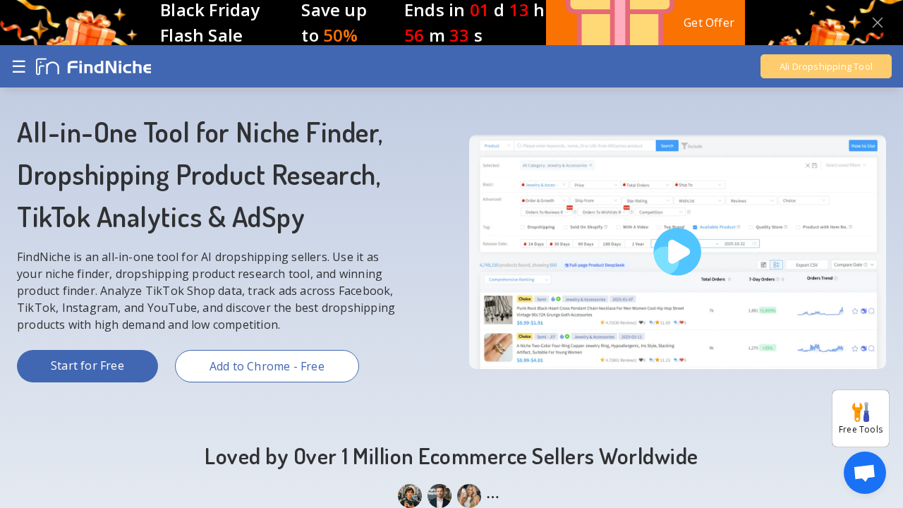 FindNiche screenshot