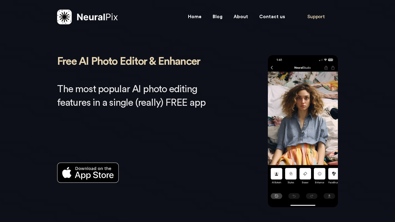 NeuralPix screenshot
