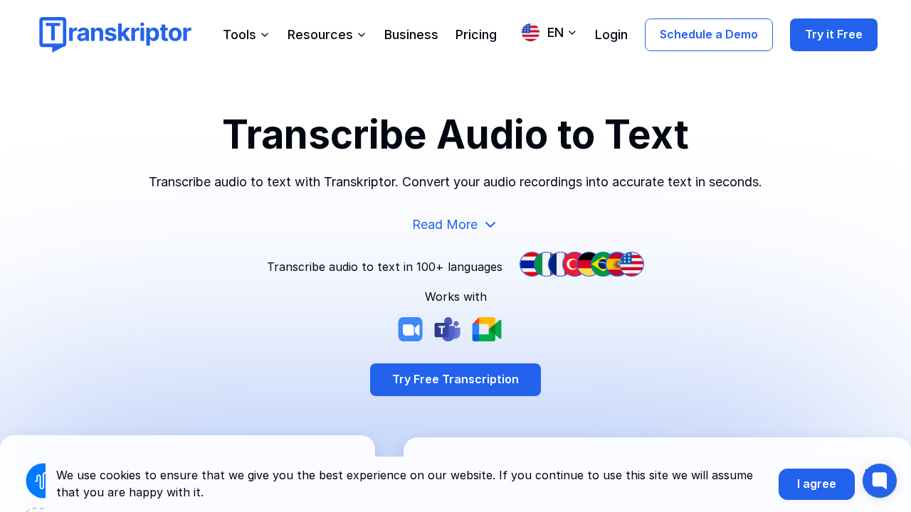 Transkriptor screenshot