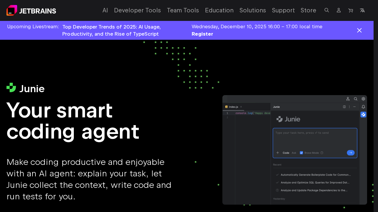 JetBrains AI screenshot