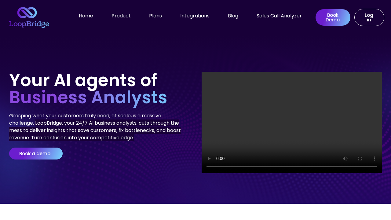 LoopBridge screenshot