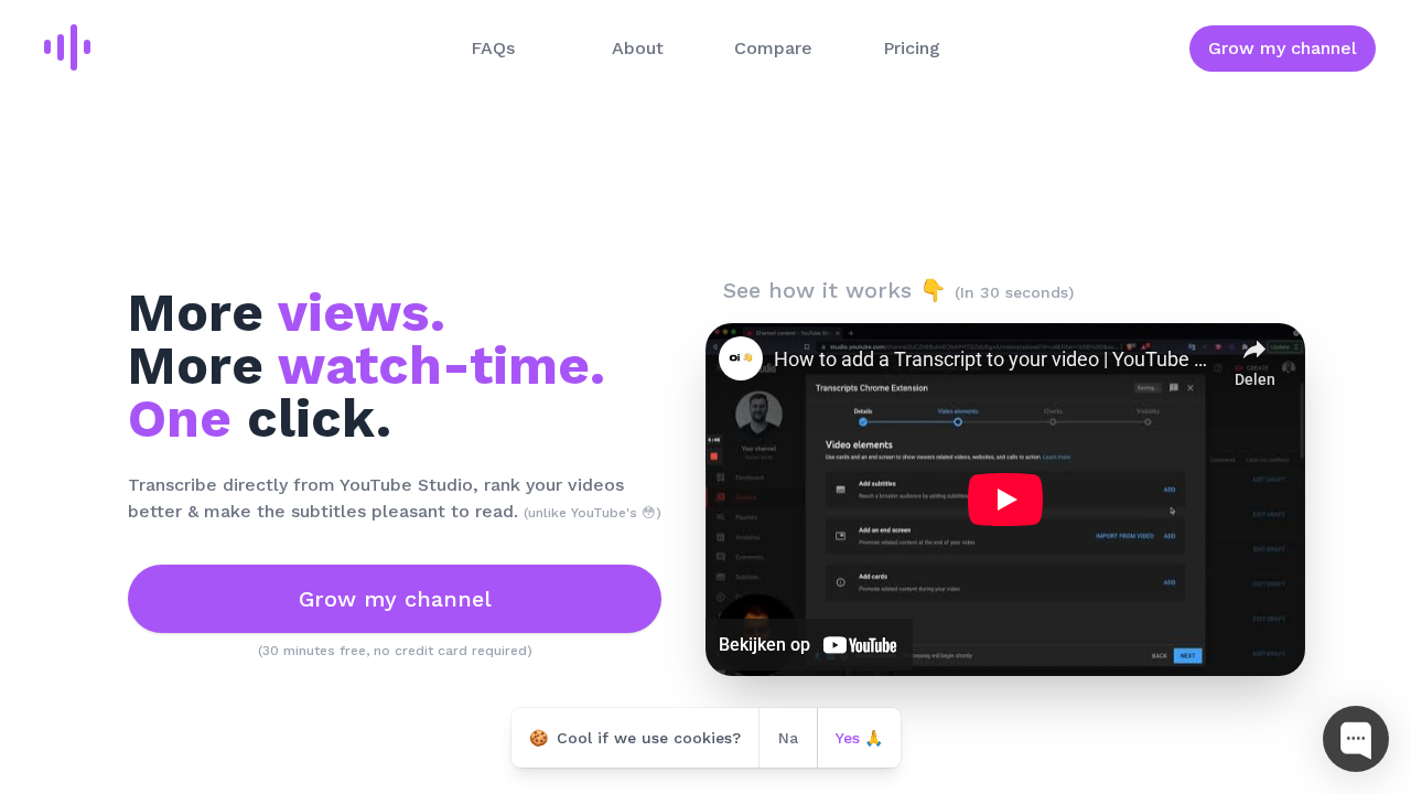 TubeTranscripts screenshot