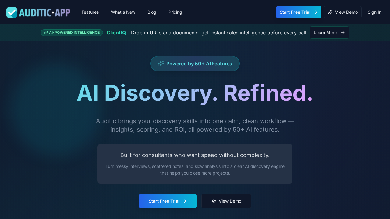 Auditic.app – AI Discovery Toolkit screenshot