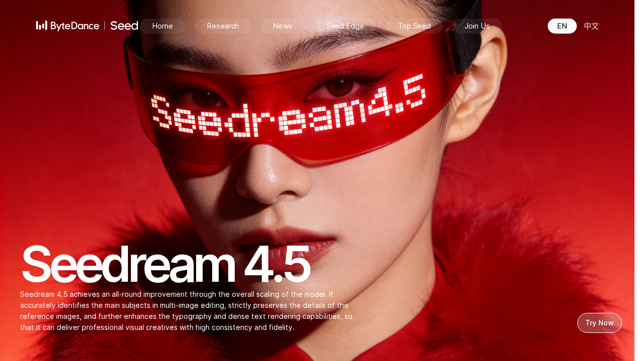 Seedream 4.5 screenshot